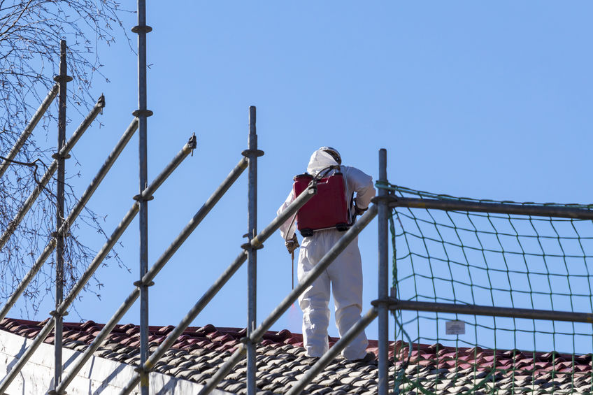 asbestos removal auckland cost