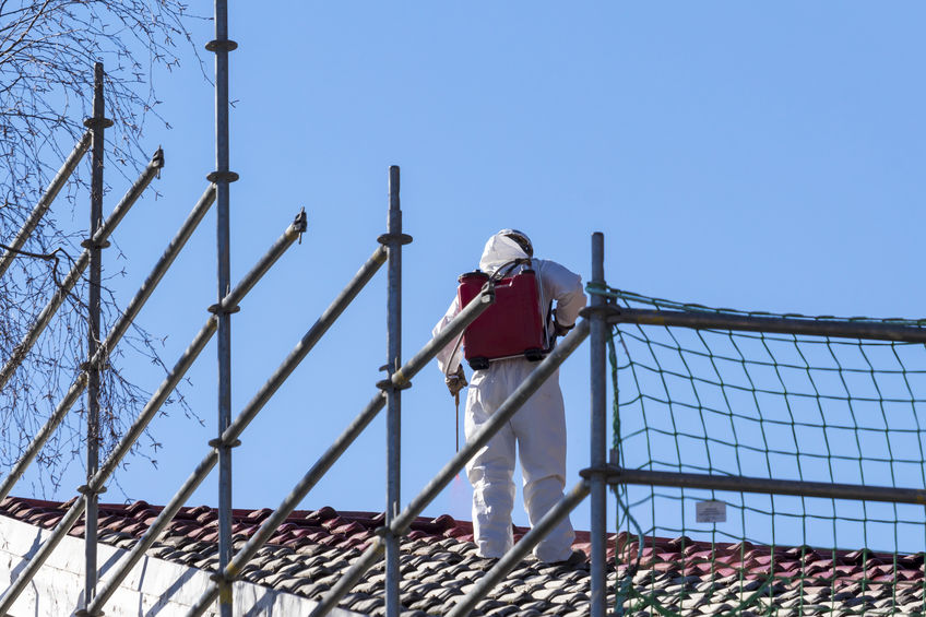 asbestos removal auckland cost asbestos removal auckland cost