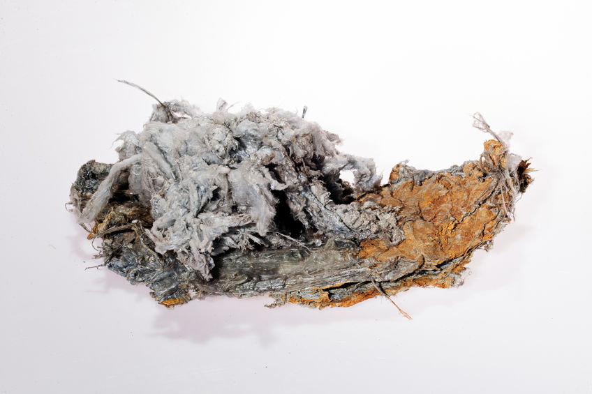 asbestos tester asbestos tester
