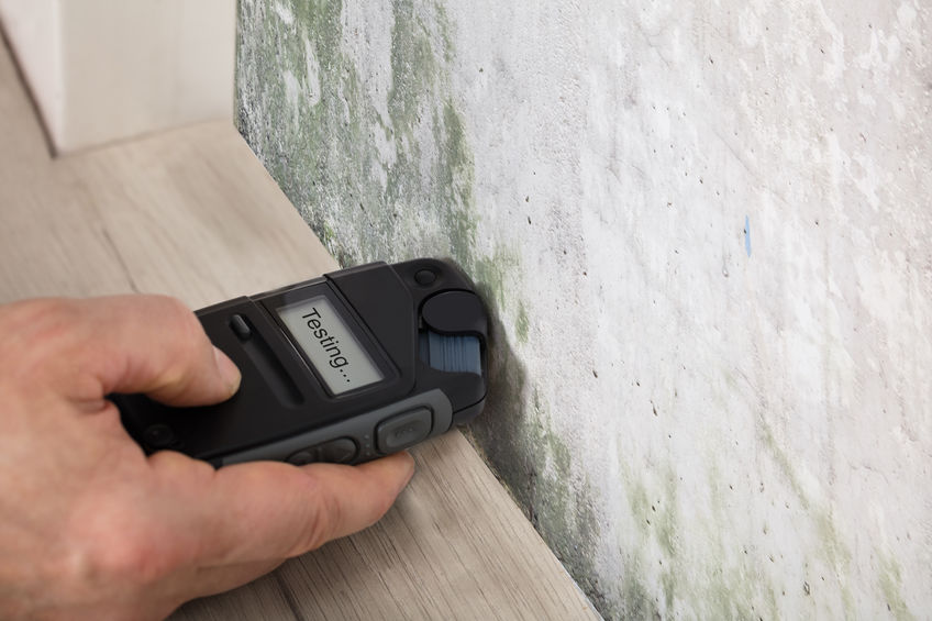 black mould removal nz black mould removal nz